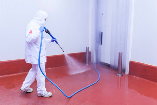 Best Boat and Dock Cleaning  in Foxfire, NC